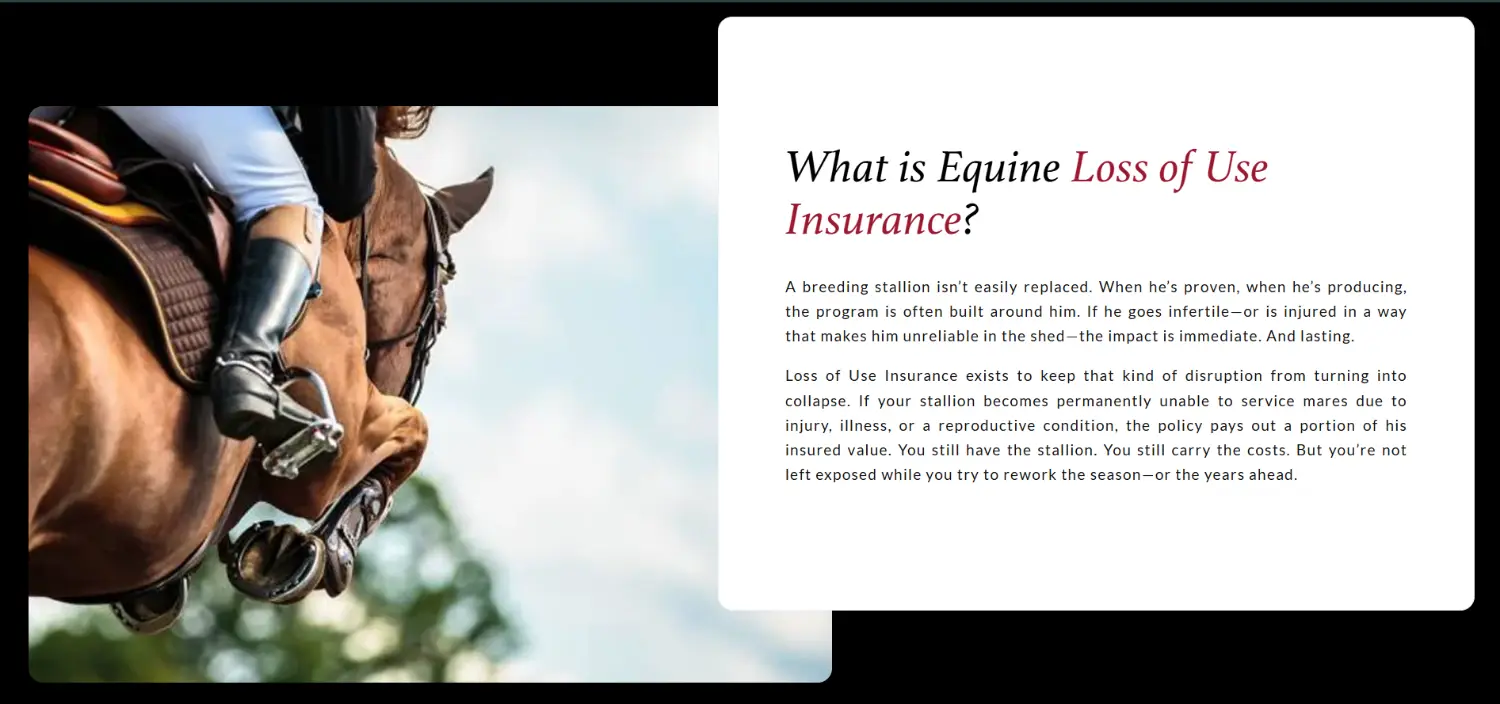 The Equerry horse insurance website section explaining equine loss of use coverage