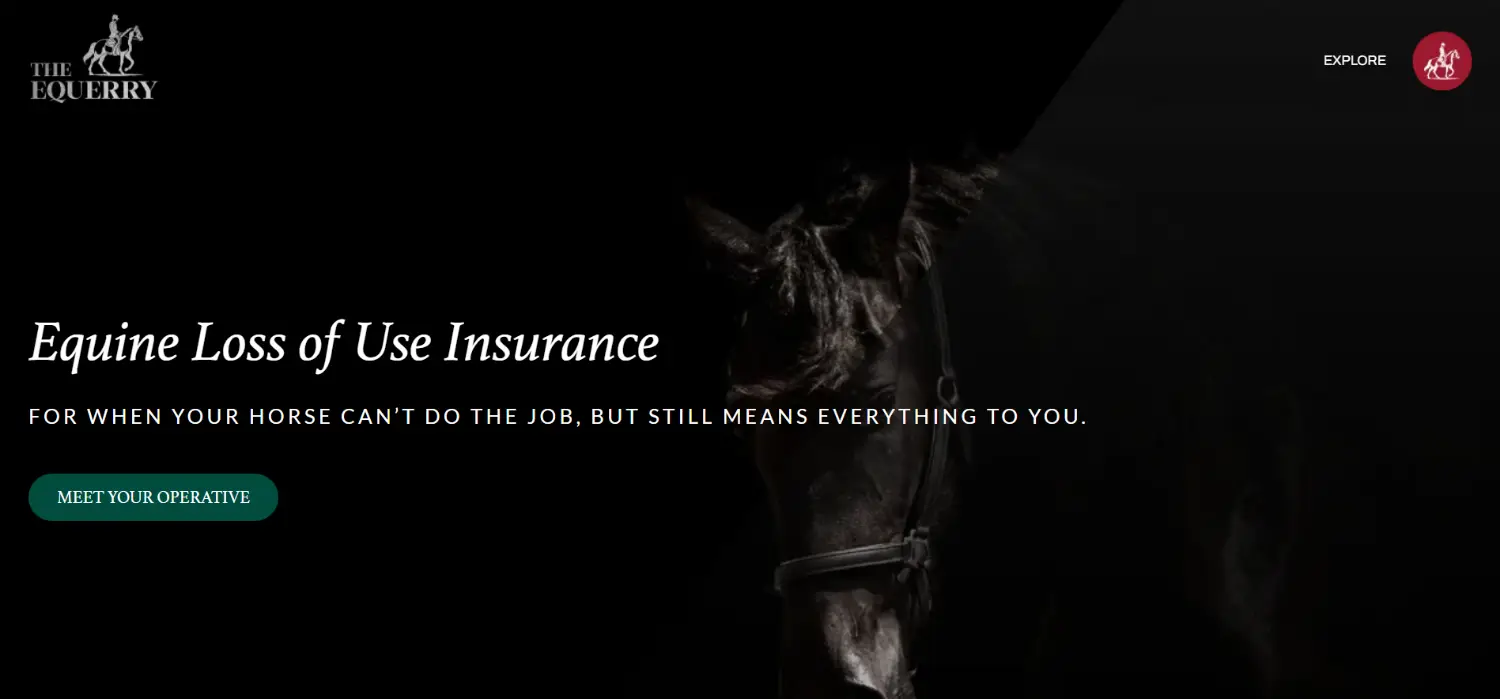 The Equerry equine loss of use insurance WordPress website page