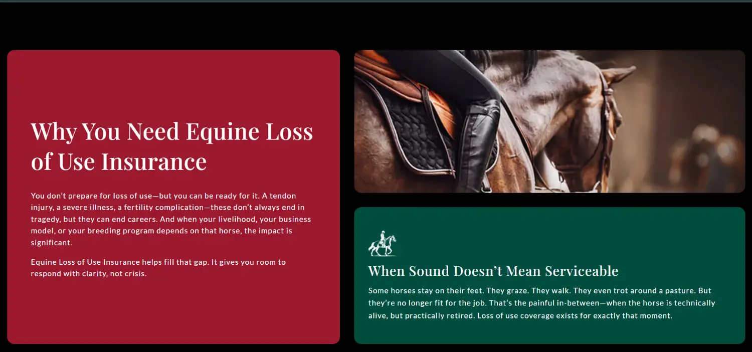 The Equerry WordPress website design for equine loss of use insurance information