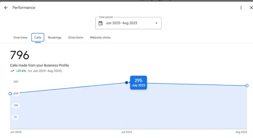 Google Business Profile performance results